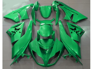 09-12 Verde Brillante & Logotipos Personalizados Kawasaki ZX6R Carenados Moto